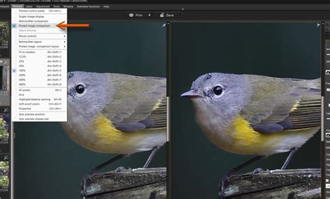Image result for Canon DPP4 Tutorial