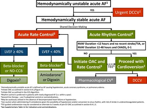 Atrial Fibrillation - Cardio Guide