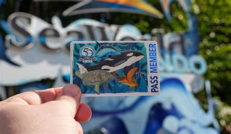 ‘Best Sale of The Summer:’ SeaWorld offering reduced admission