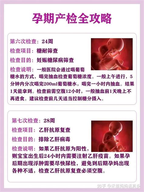 《孕晚期最全的8次产检项目和时间表，孕妈提早知（附注意事项）》 - 知乎