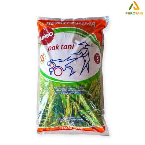 Jual Benih Padi Sintanur Jumbo Pak Tani 5kg Benih Prima Paktani SS ...