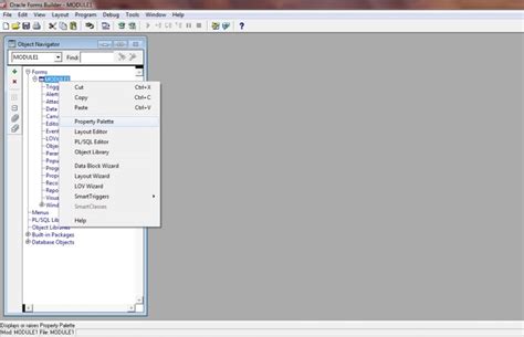 Image result for How to Create a Basic Form Module in Oracle Forms