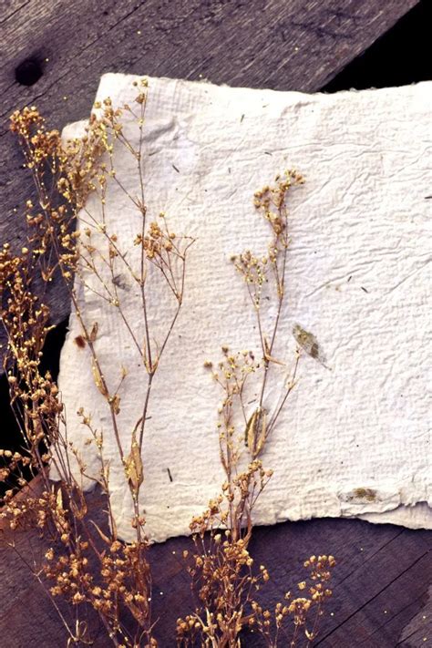 Making Homemade Paper 的图像结果