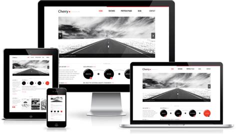 Sai Ideal Softwares Private Limited- Best IT Company in Delhi, India