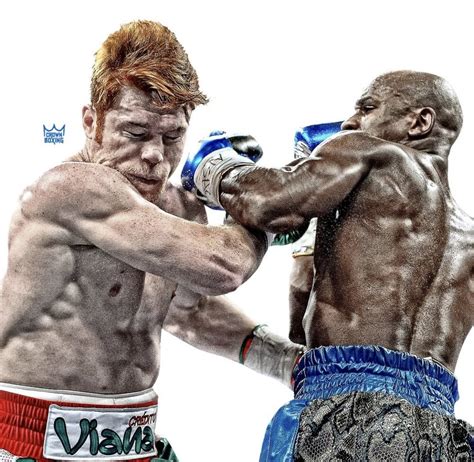 Mayweather Boxing 的图像结果