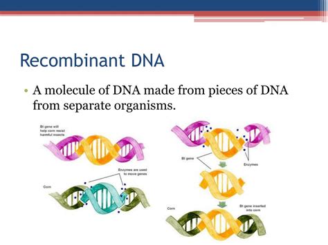 Image result for Define Genetic Engineering