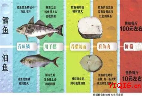 辨别鳕鱼油鱼技巧 不同种类的鳕鱼有哪些区别_一起过