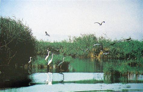 全国35个王牌景点之一，银川沙湖玩水去！-搜狐