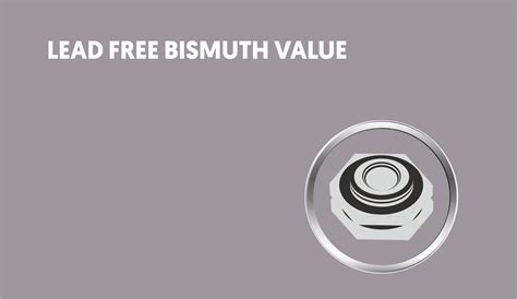 Buy Preethi Pressure Cooker Ol Ss 5 Ltr Online