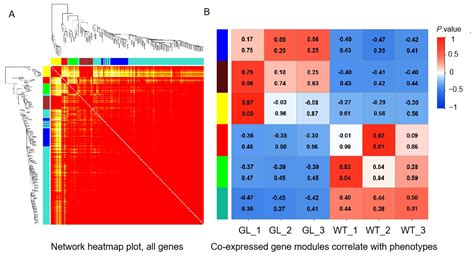 Characterization and RNA-Seq Analysis of Yellow-Green Leaf Mutants in ...