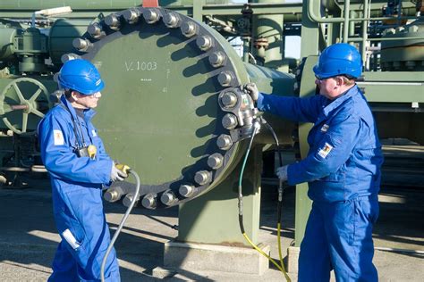 14 Unbelievable Facts About African Rock Python - Facts.net