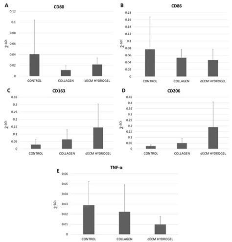 Regenerative Potential of A Bovine ECM-Derived Hydrogel for Biomedical ...