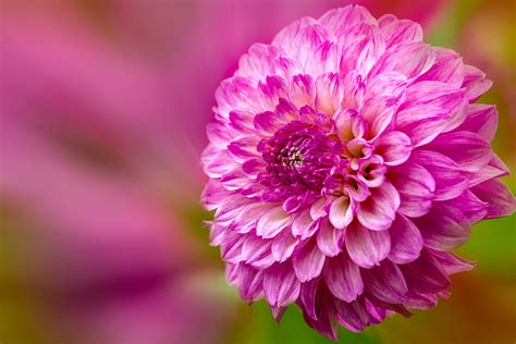 Image result for JPEG Files On My Computer