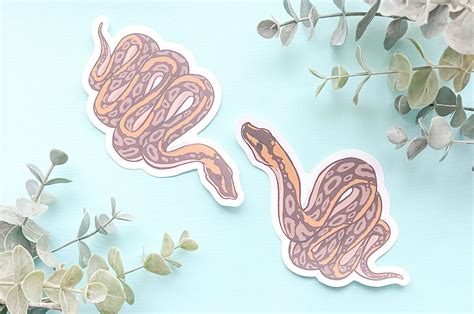 Image result for Pink Ball Python Sticker