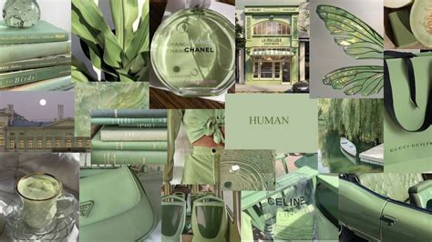 Download Create your own beautiful world with a Pastel Green Aesthetic ...
