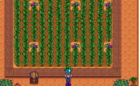 Ancient Seed Stardew Valley Guide: From Humble Beginnings - SDew HQ