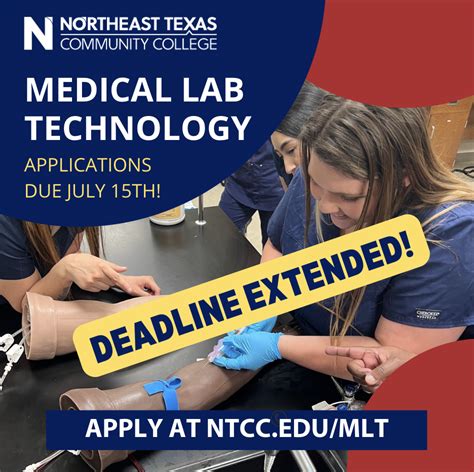 Image result for MLT Program