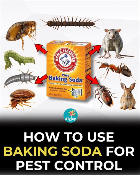 How to Use Baking Soda for Pest Control | Baking soda uses, Baking soda, Bug spray recipe