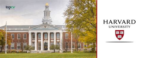 Harvard 2021 的图像结果