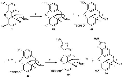 Synthesis and Modification of Morphine and Codeine, Leading to Diverse Libraries with Improved ...