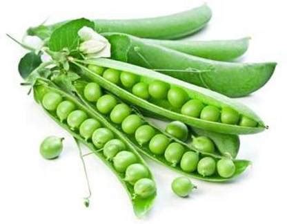 Audhav Green Pea Vegetable Seeds For Summer Season Home Gardening Seed ...