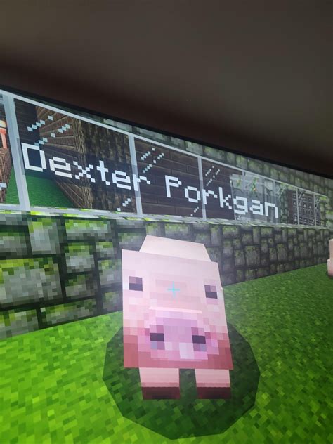 Thought Of The Perfect Name For My Minecraft Pig : r/Dexter