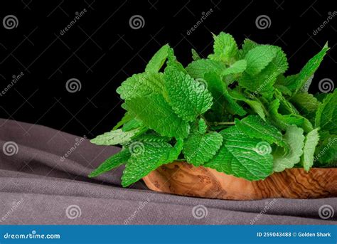 Lemon Balm (herb) Tied in a Bunch on White Backgriound Stock Photo - Image of medicine, stress ...