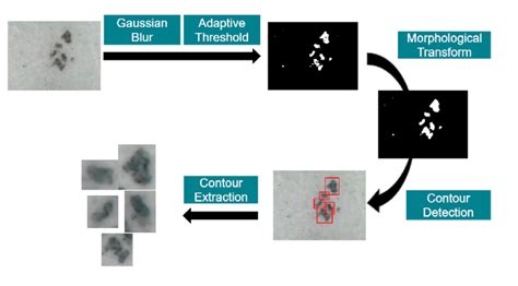 Microscope Image Processing 的图像结果