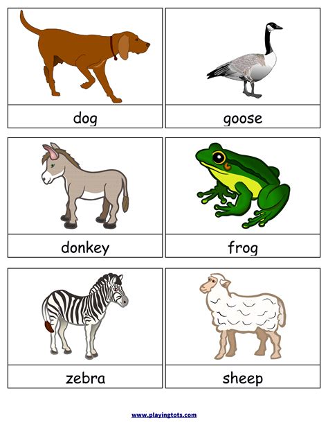 Animal Flash Cards Printable