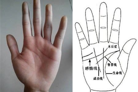 周易算命手纹 从手相看是否有二婚特征-算网