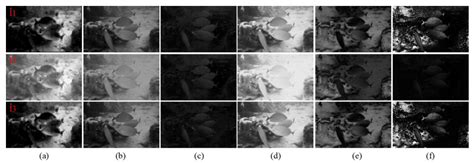 Underwater Color-Cast Image Enhancement by Noise Suppression and Block ...