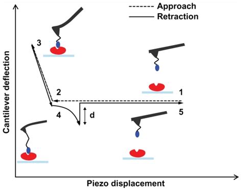 Process Control Force Distance 的图像结果