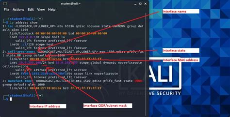 Image result for Basic Nmap Scan