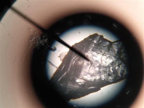 Image result for Quark Under Microscope