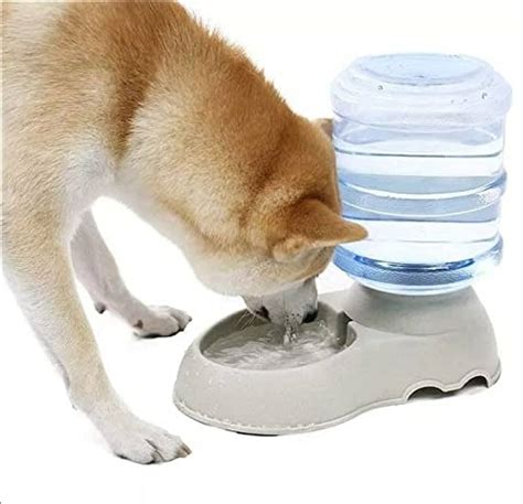 Top Fill Pet Water Dispenser at Guillermo Wilbur blog