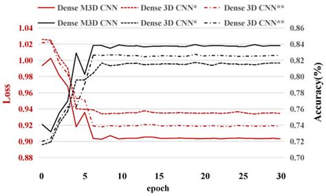 A Densely Connected Multi-Branch 3D Convolutional Neural Network for ...