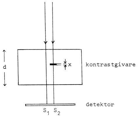 Image result for Contrast Based Subject