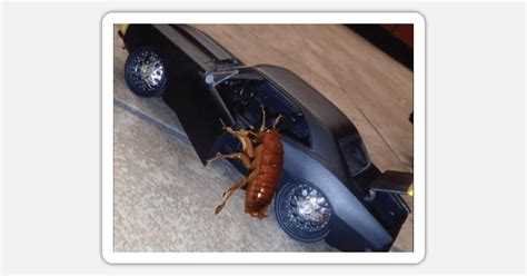 Cockroach Meme Invasion 的图像结果