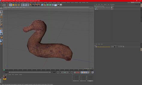 Ottoia Relict Marine Worm Fossil 3D | 3D Molier International