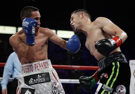 Boxing Fights 的图像结果