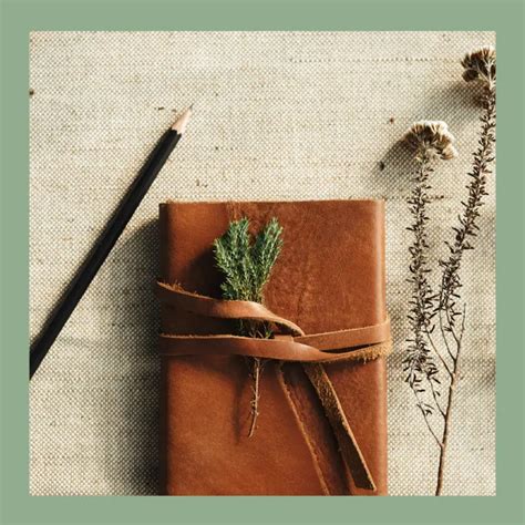 Learning Notebook 的图像结果