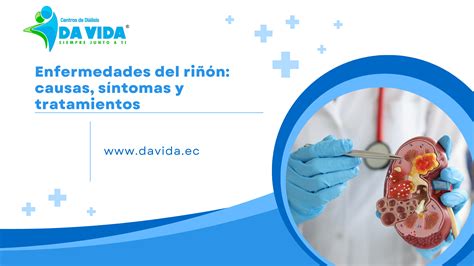 Enfermedades del riñón: causas, síntomas y tratamientos - Davida