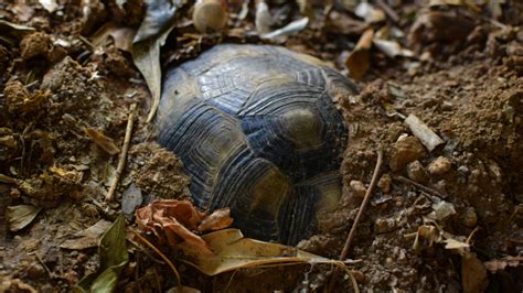 Image result for Well-Rounded Professional and Reflective Learning