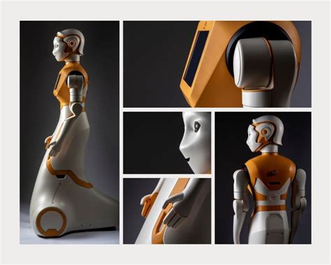 Pal Robot 的图像结果