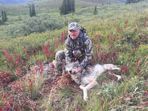 Image result for Ruby Hunting