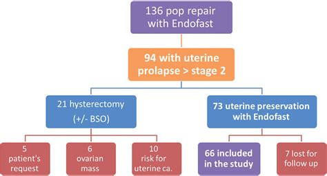 Prolapsed Uterus Stages