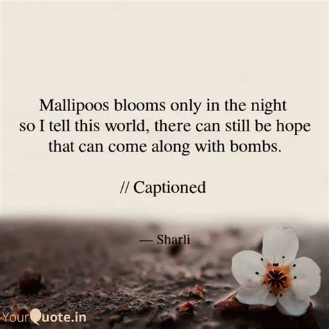 Mallipoos blooms only in ... | Quotes & Writings by Sharli Sharli ...