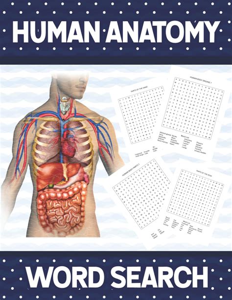 Human Anatomy Word Search Human Body Anatomy Word Search Kids ...
