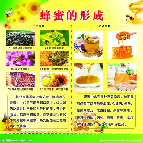 贵州苗疆蜂业科技发展有限公司 13595010998-网站首页