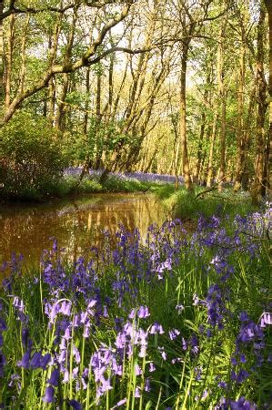 THE BEST Places to Visit in Scorton (2025) - Must-See Attractions